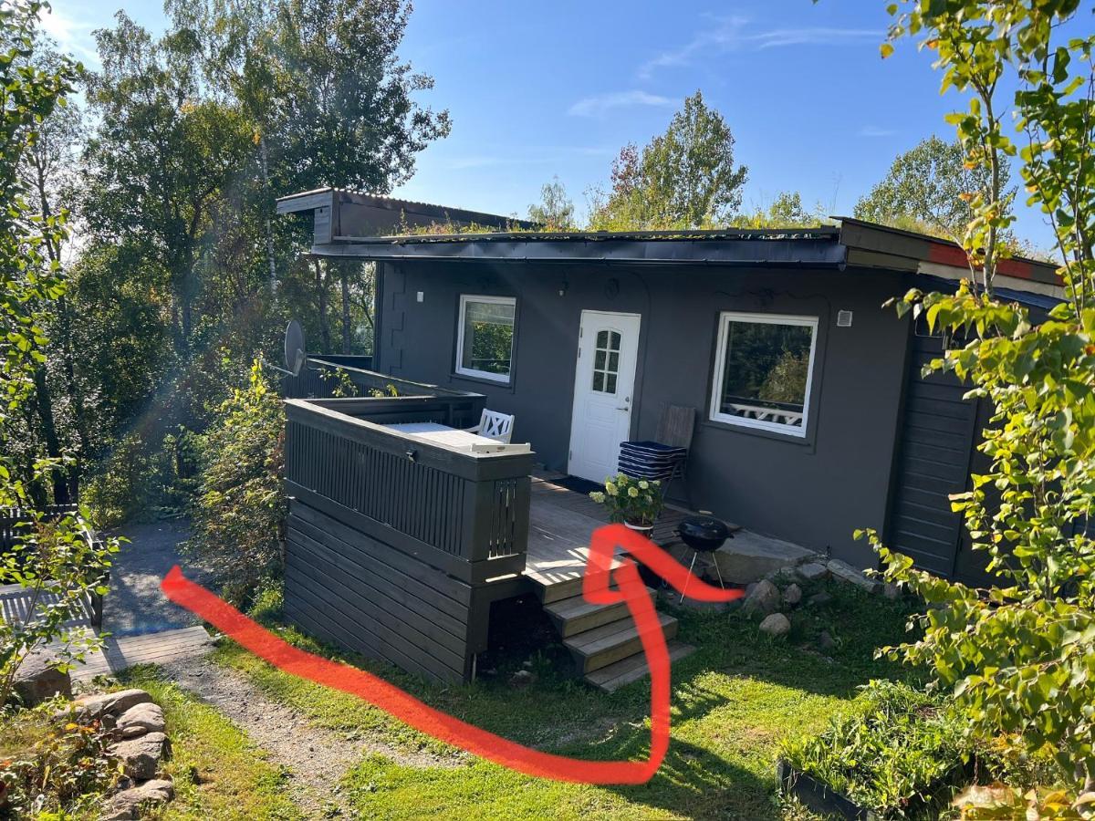 Villa Vestre Haugen House Sentralt Oslo Gratis Privat Parkering Exterior foto